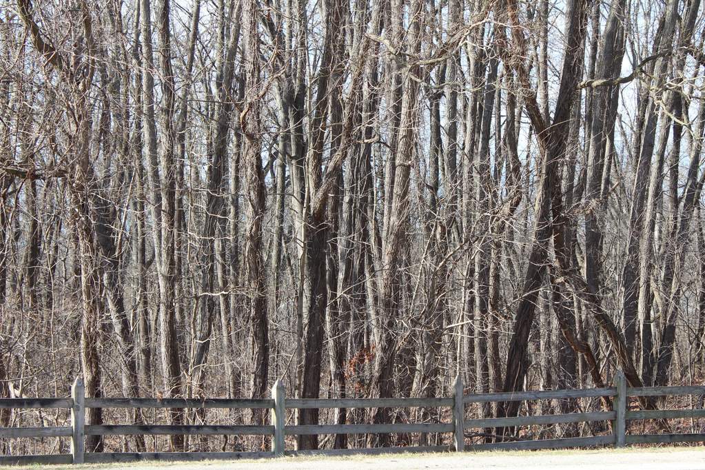 0Lot 57 Wildwood