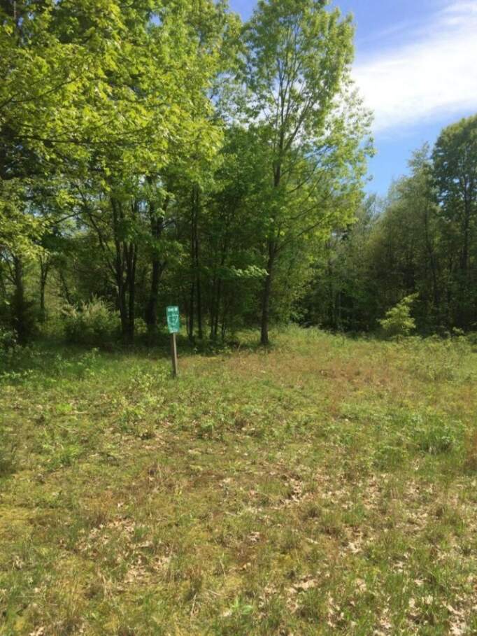 Misty Pines Lots 28 & 29, Dowagiac, MI 49047 MLS 20005178