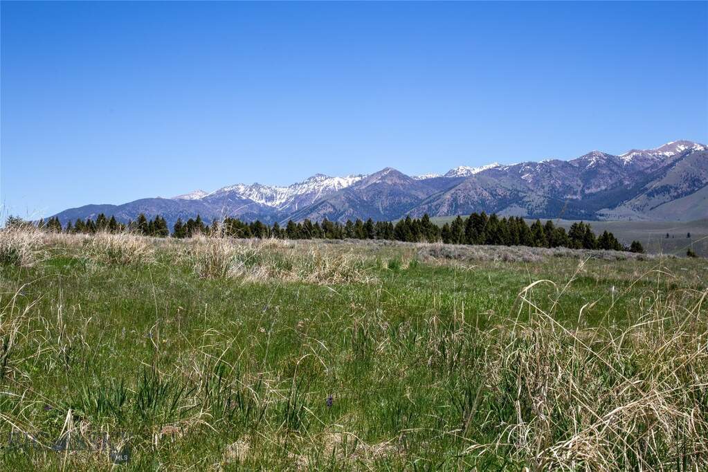 Land/Vacant Land's Image 8