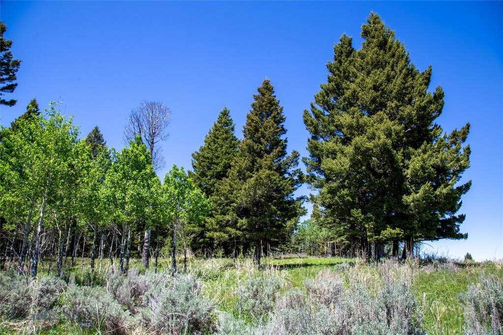 Land/Vacant Land's Image 9