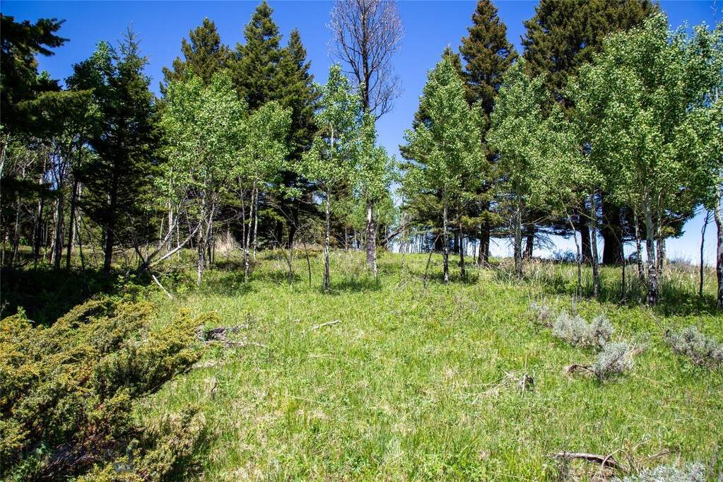 Land/Vacant Land's Image 11
