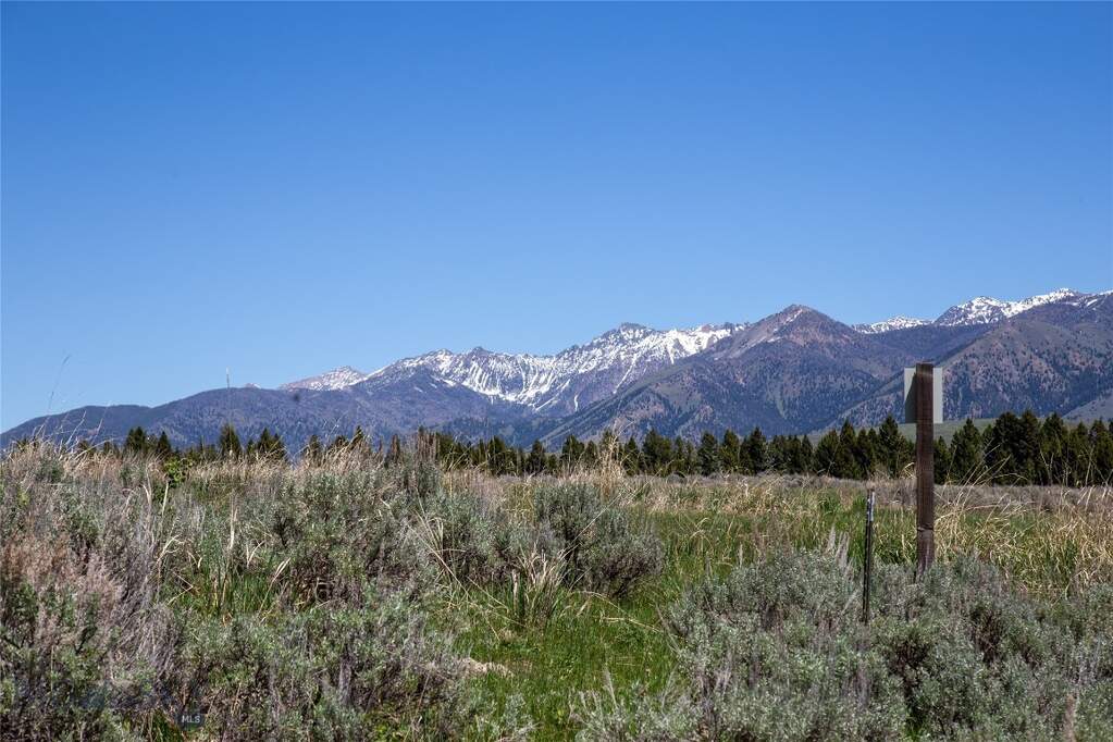 Land/Vacant Land's Image 14