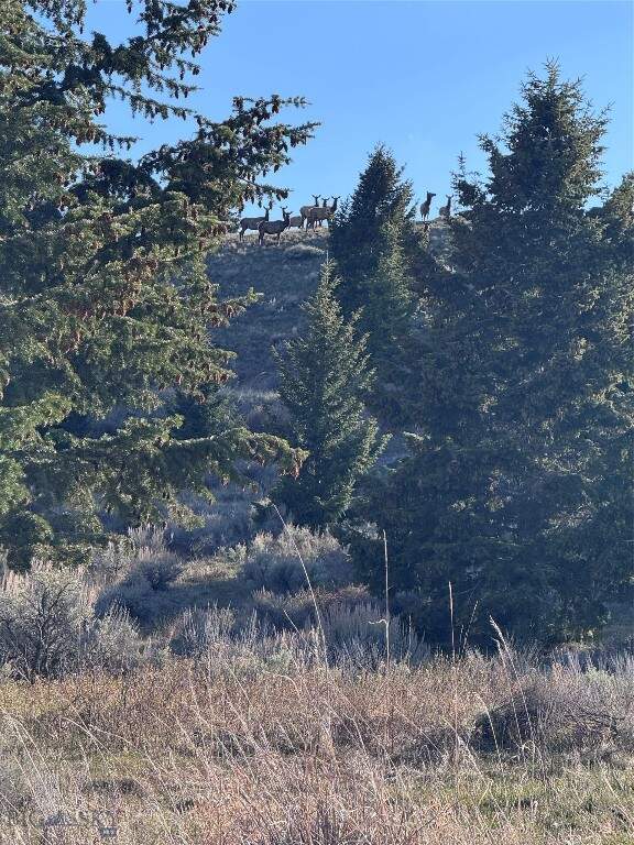 Land/Vacant Land's Image 24