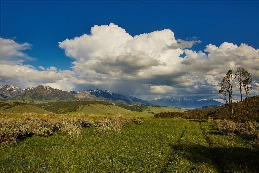 Land/Vacant Land's Image 25