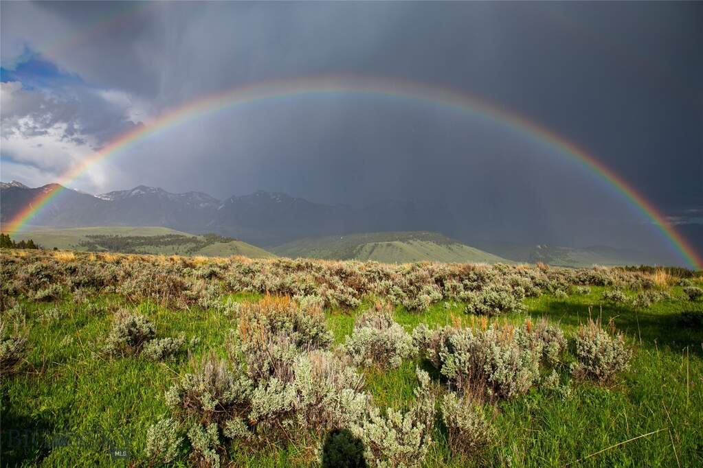 Land/Vacant Land's Image 35