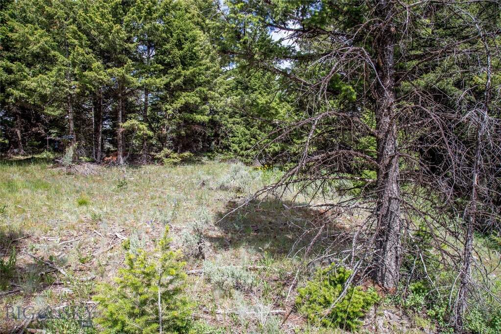 Land/Vacant Land's Image 8
