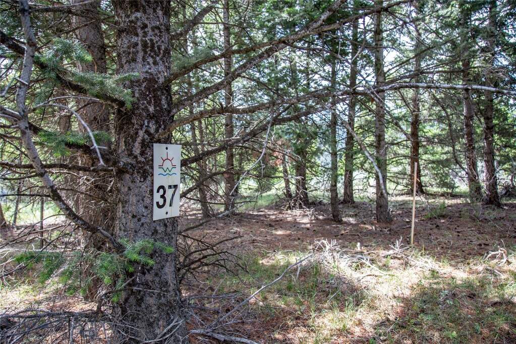 Land/Vacant Land's Image 9