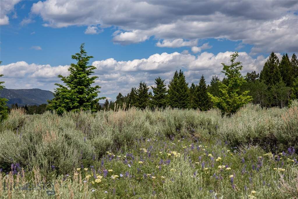 Land/Vacant Land's Image 14