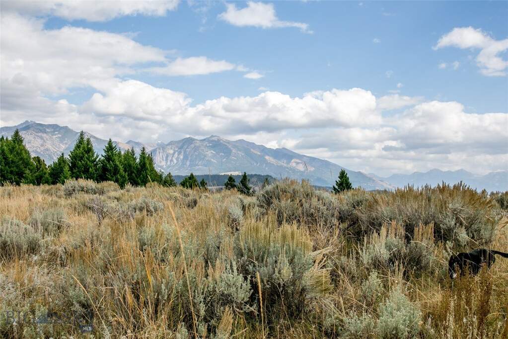 Land/Vacant Land's Image 18