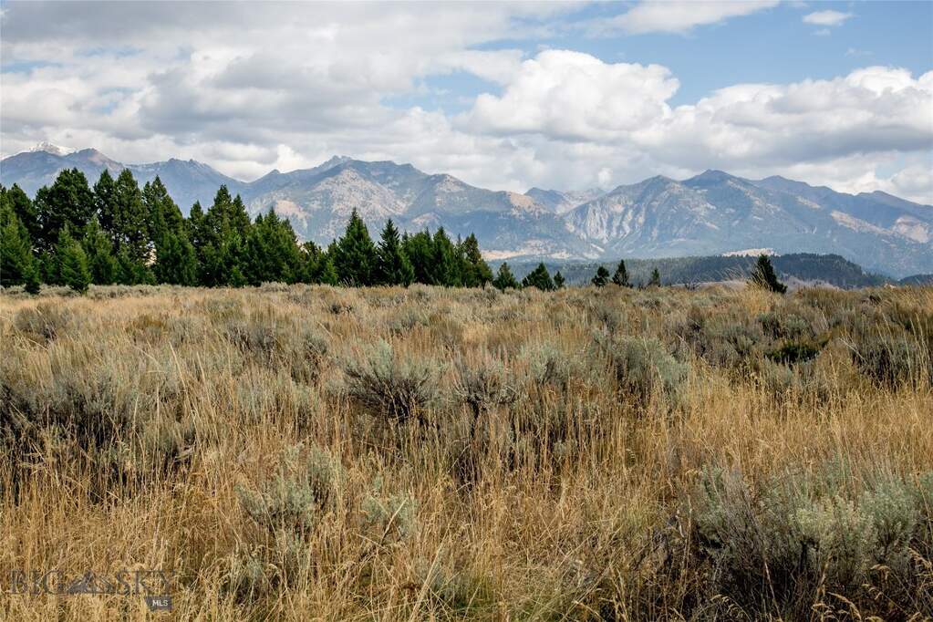Land/Vacant Land's Image 19