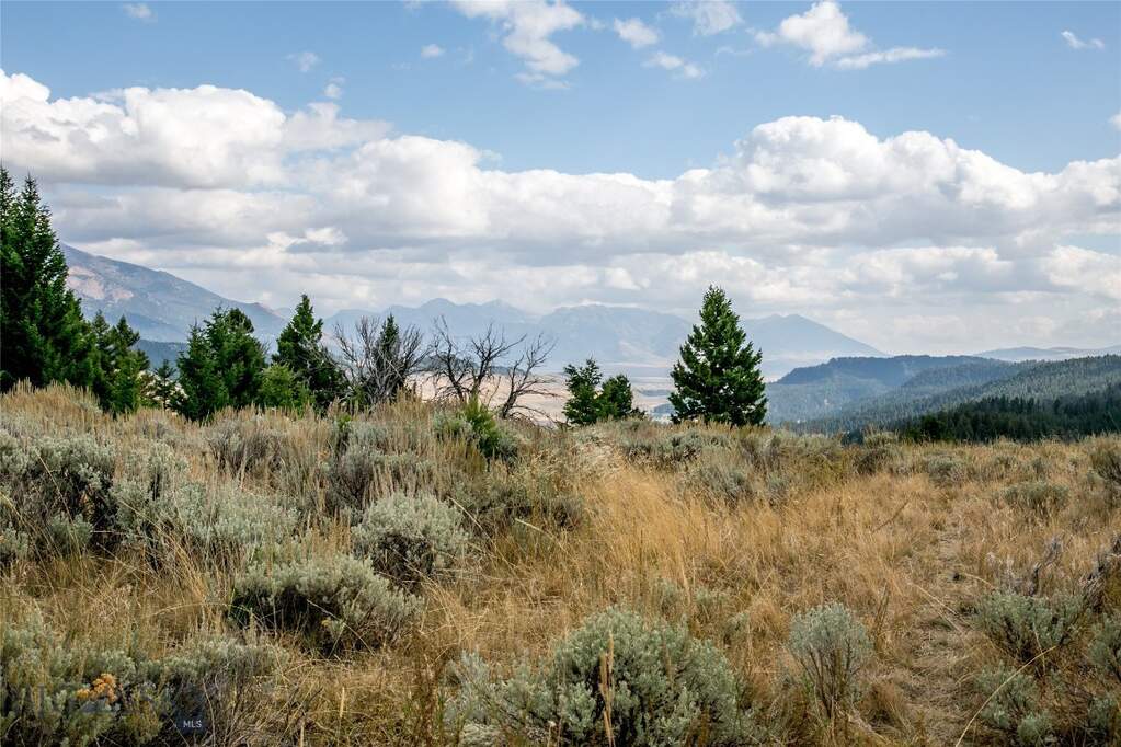 Land/Vacant Land's Image 20