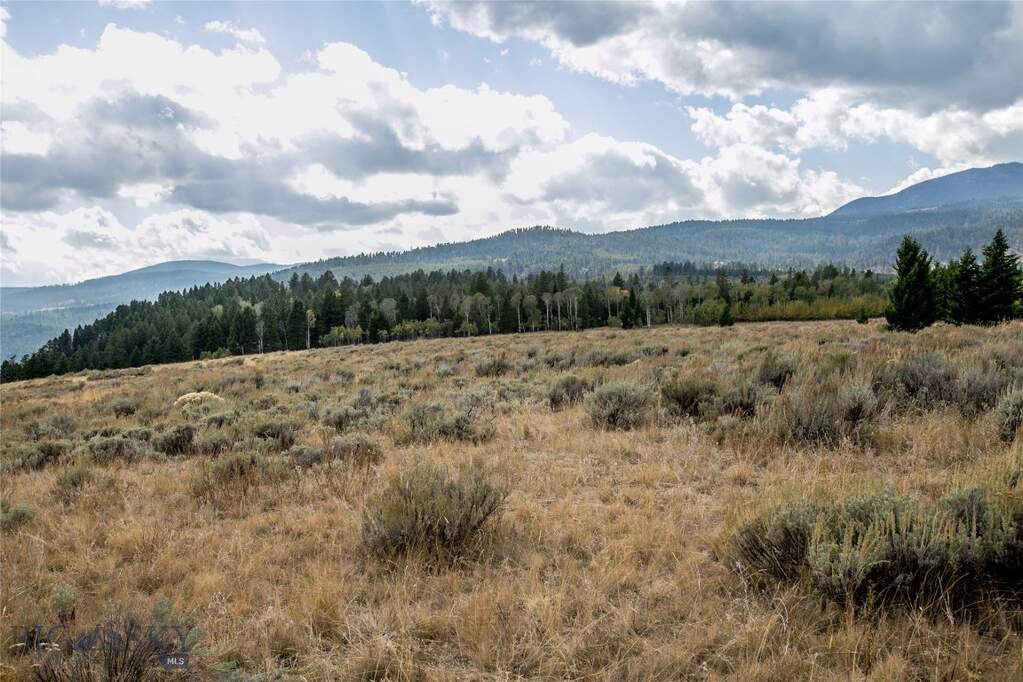 Land/Vacant Land's Image 21