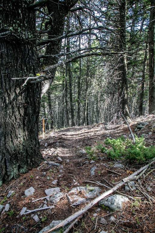 Land/Vacant Land's Image 22