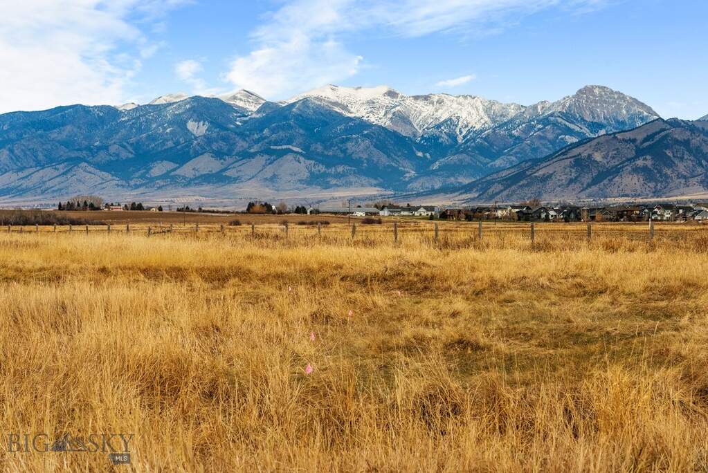 Land/Vacant Land's Image 4