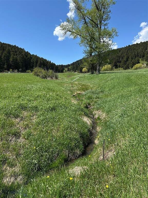 Land/Vacant Land's Image 26