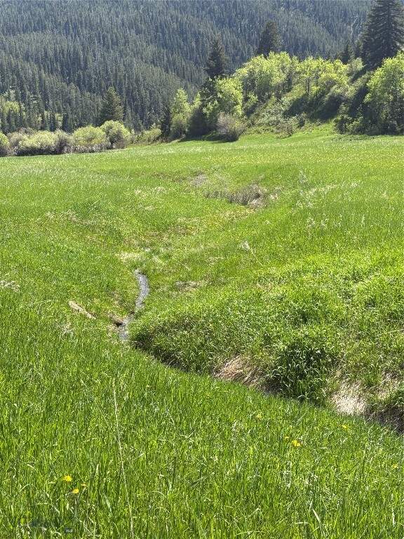 Land/Vacant Land's Image 29