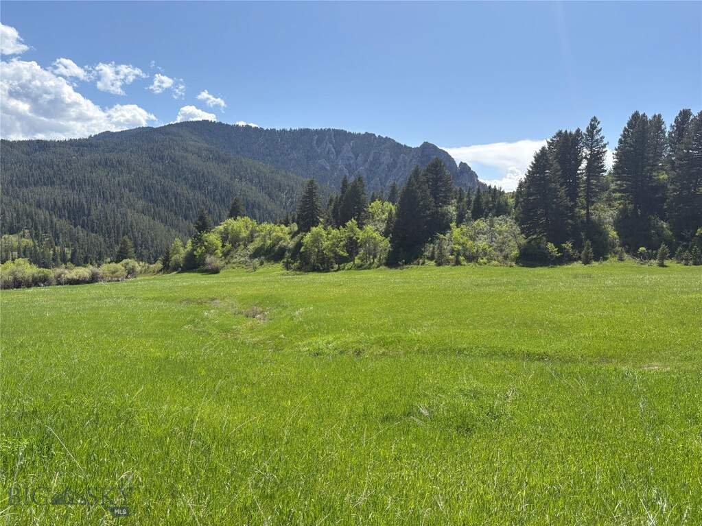Land/Vacant Land's Image 31