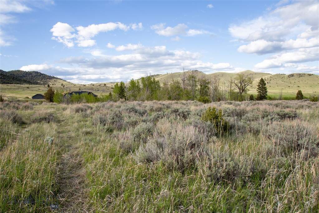Land/Vacant Land's Image 7