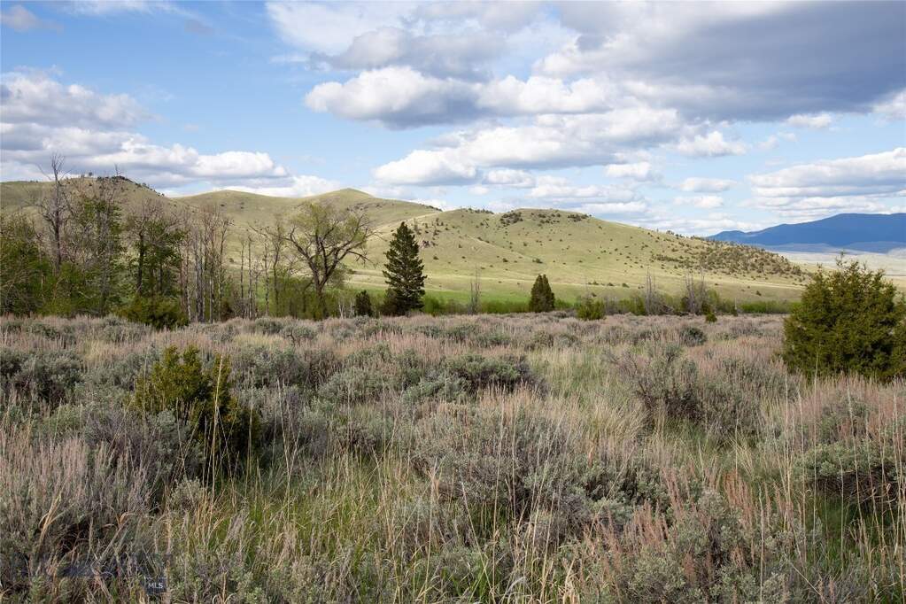 Land/Vacant Land's Image 16