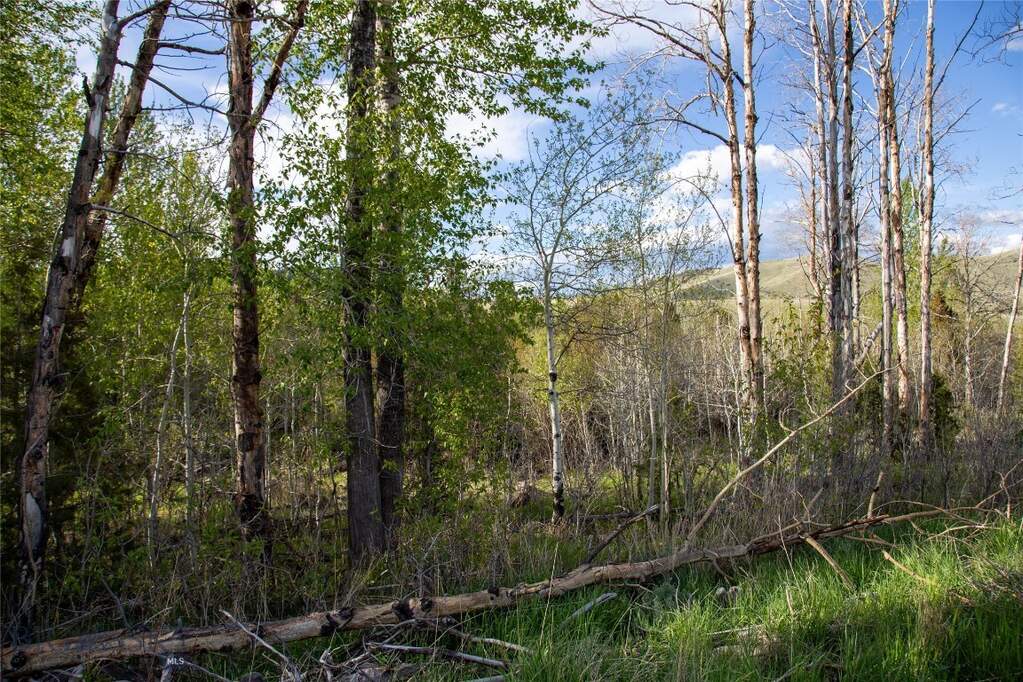 Land/Vacant Land's Image 18
