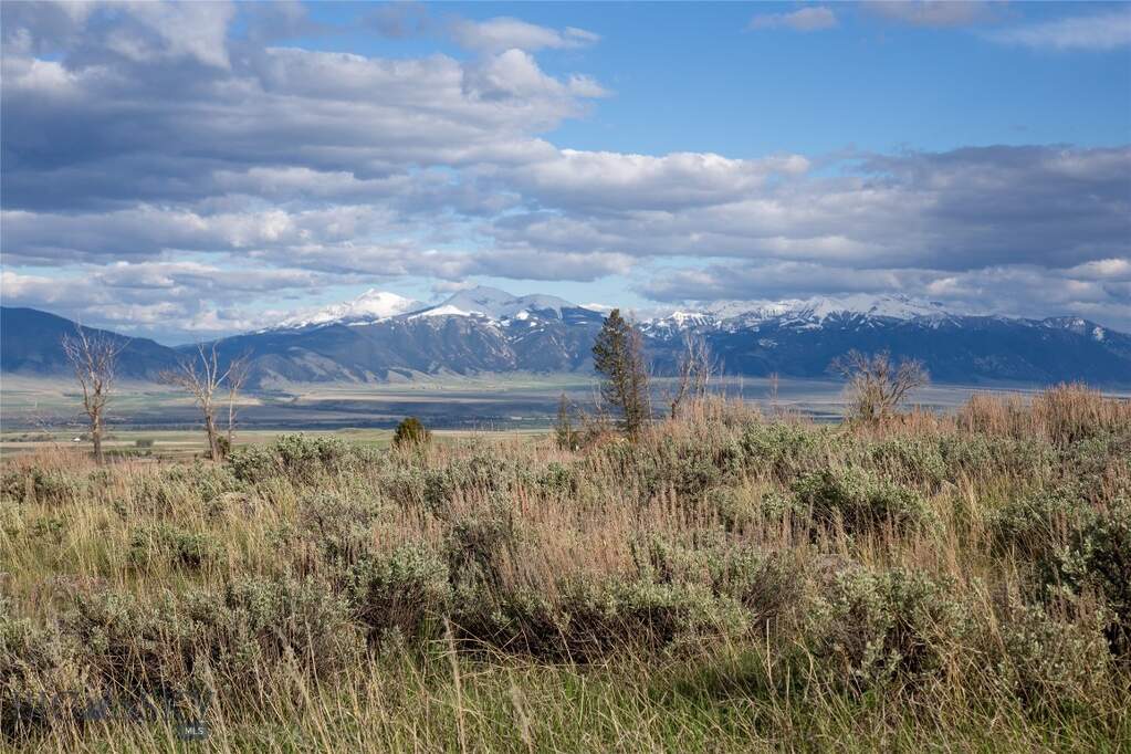 Land/Vacant Land's Image 19