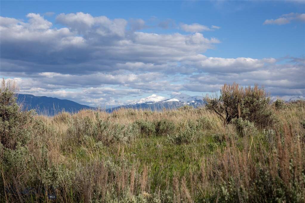 Land/Vacant Land's Image 24