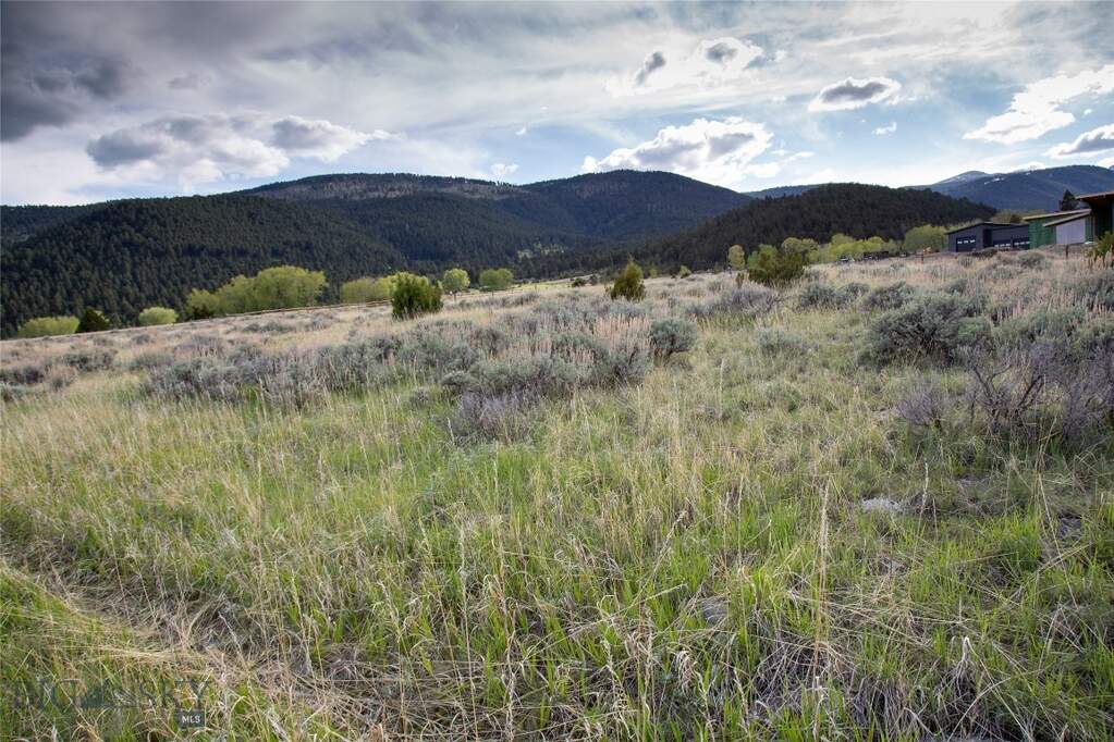 Land/Vacant Land's Image 4