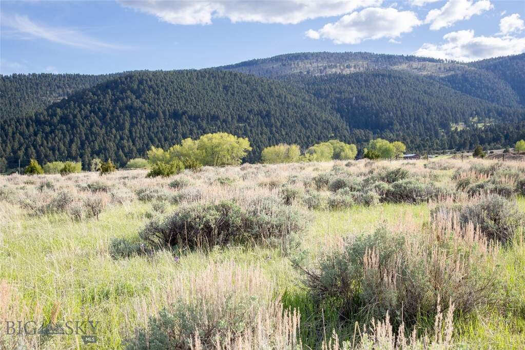 Land/Vacant Land's Image 5