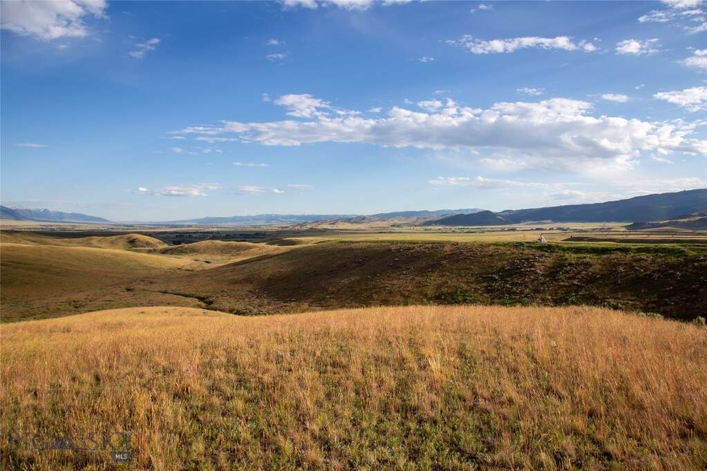 Land/Vacant Land's Image 16
