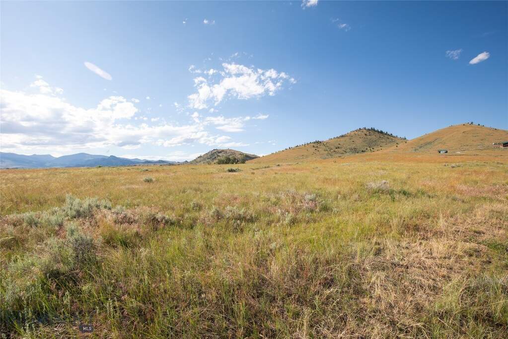 Land/Vacant Land's Image 21