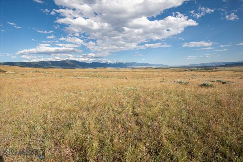Land/Vacant Land's Image 24