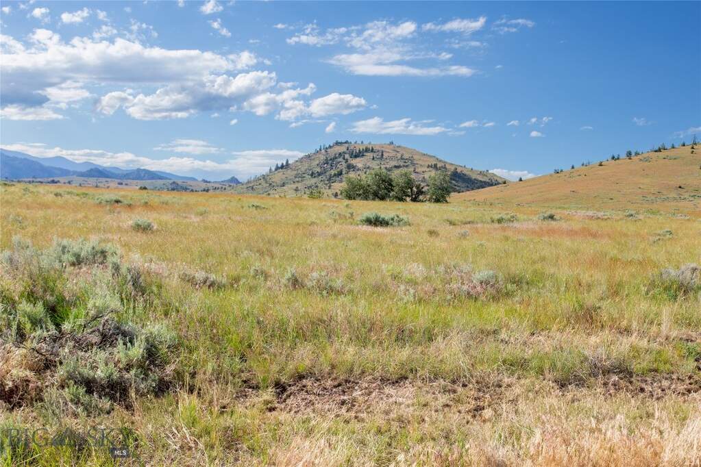 Land/Vacant Land's Image 30