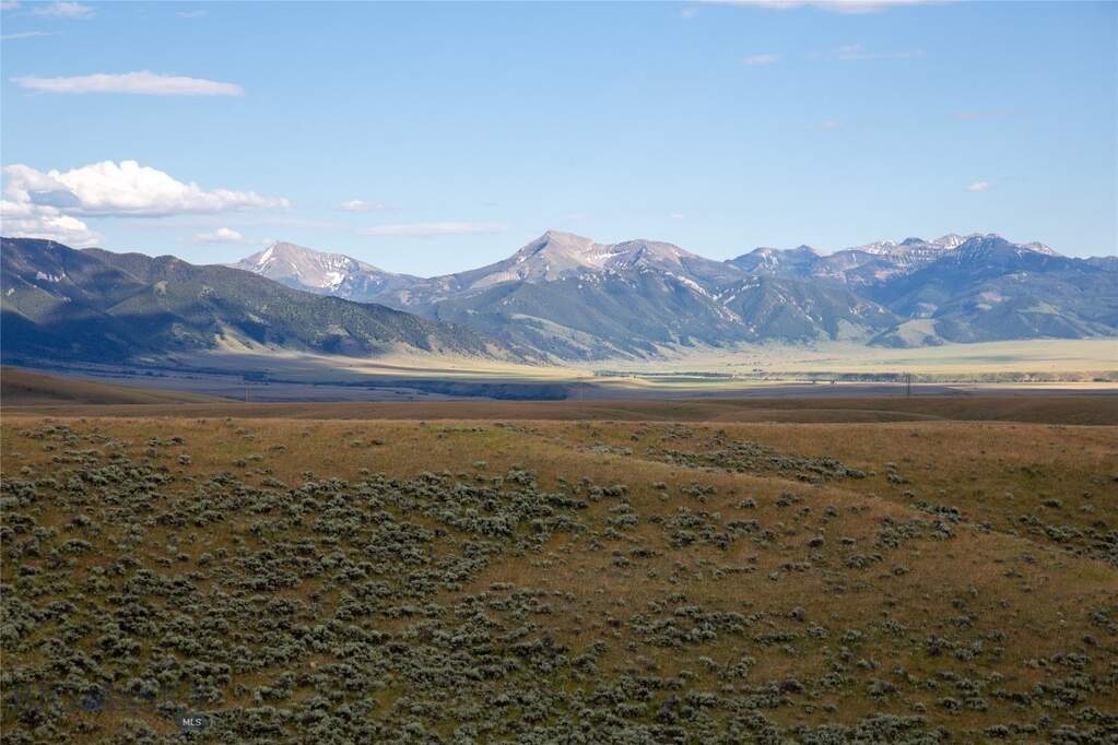 Land/Vacant Land's Image 39