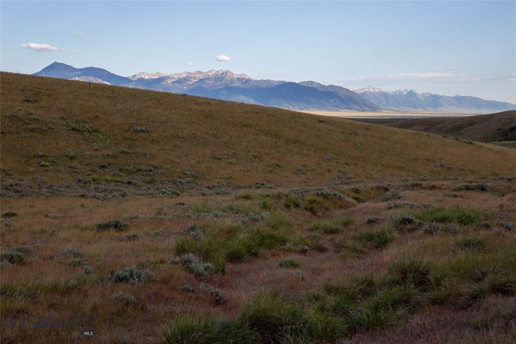 Land/Vacant Land's Image 49