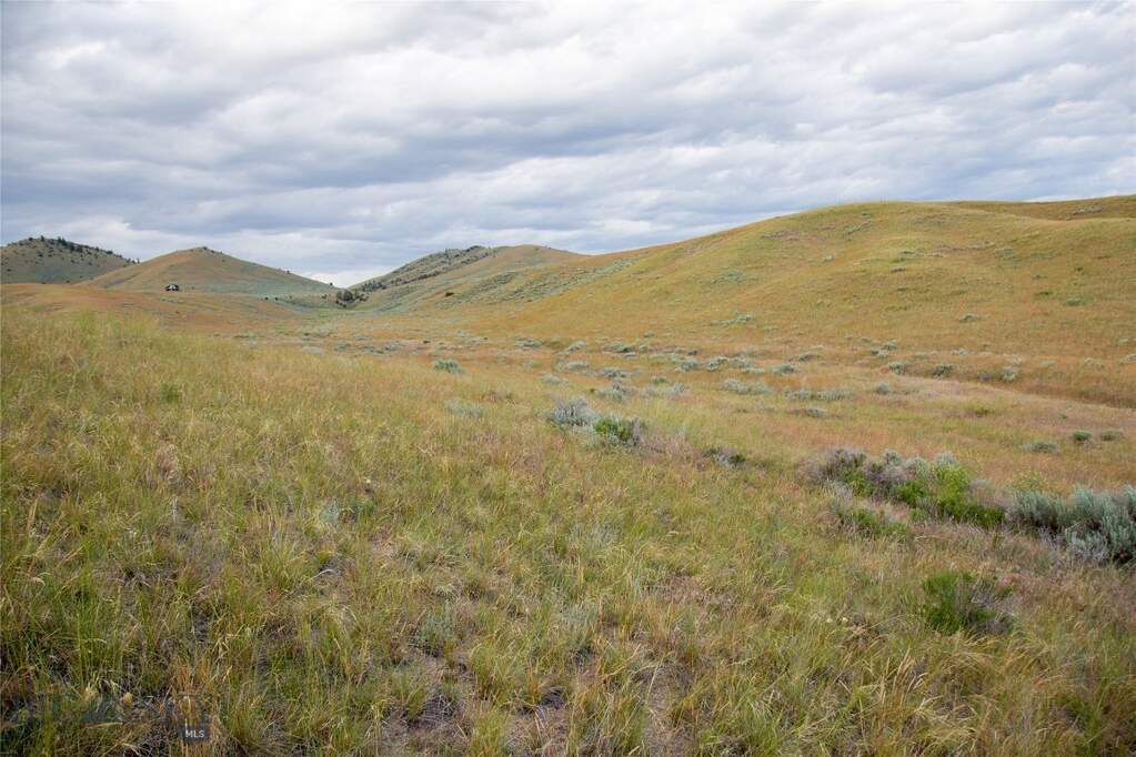 Land/Vacant Land's Image 50