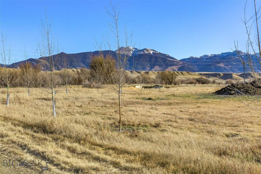 Land/Vacant Land's Image 11