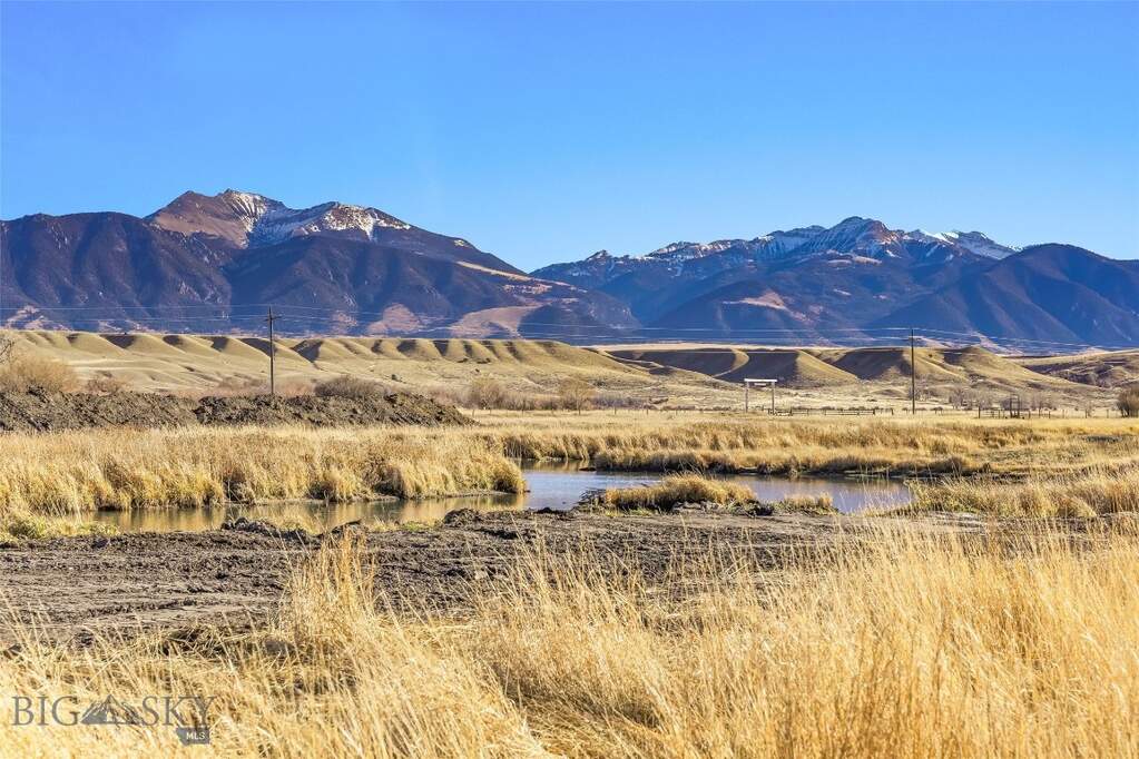 Land/Vacant Land's Image 12