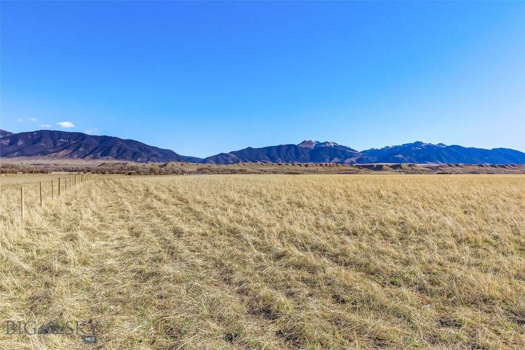 Land/Vacant Land's Image 14