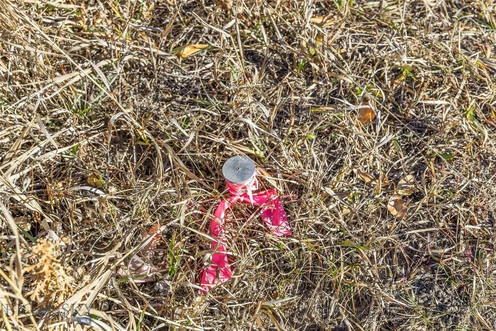 Land/Vacant Land's Image 26