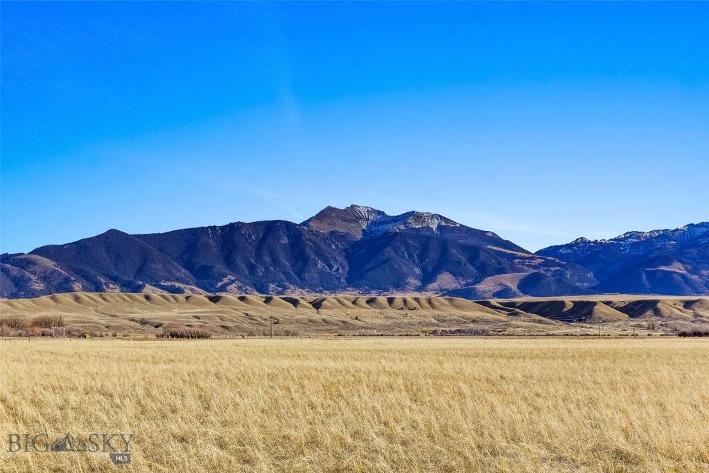 Land/Vacant Land's Image 31
