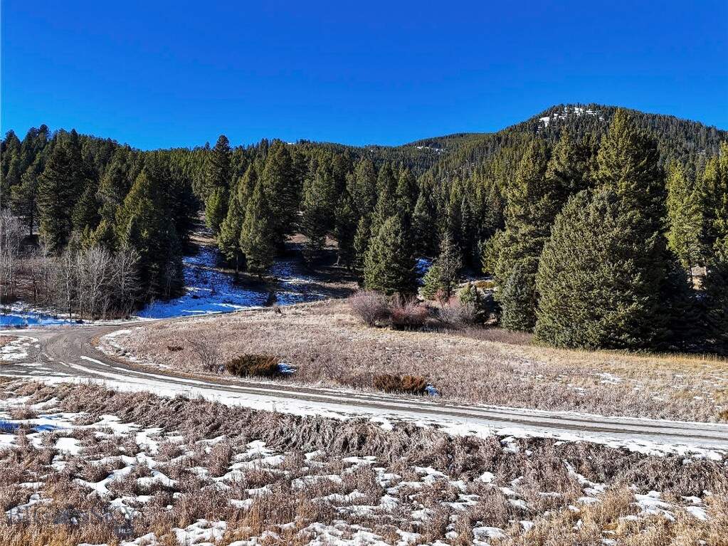 Land/Vacant Land's Image 26