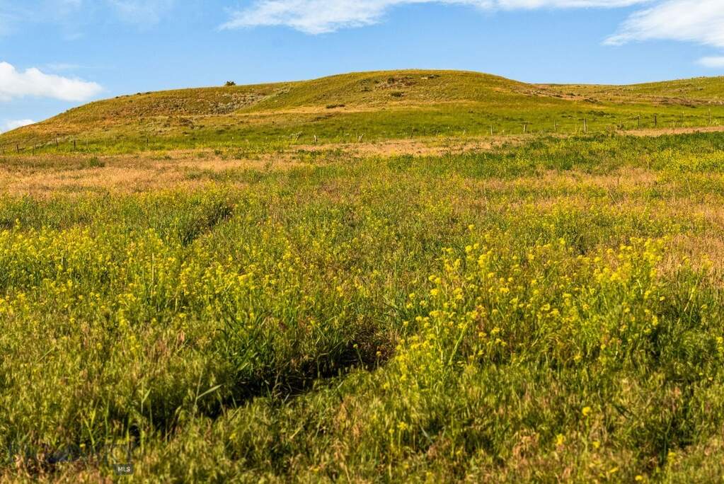 Land/Vacant Land's Image 7