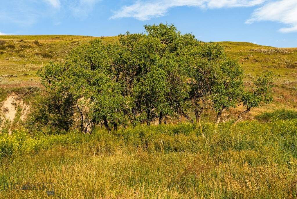 Land/Vacant Land's Image 5