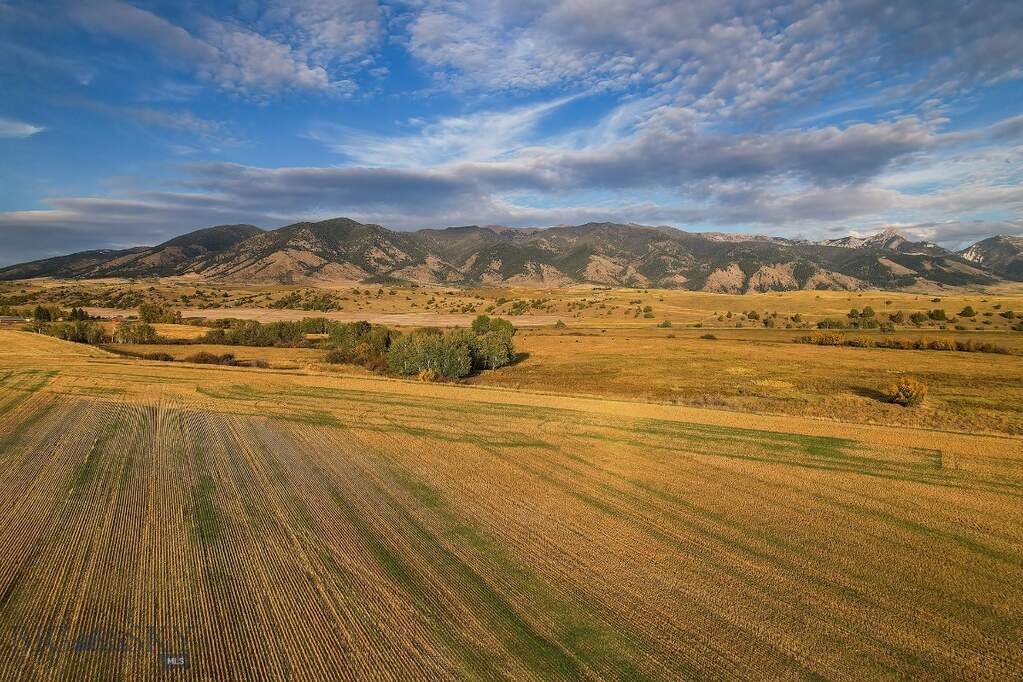 Land/Vacant Land's Image 10