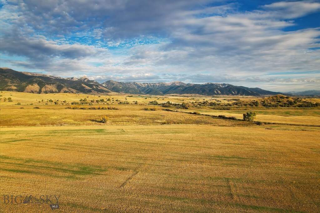 Land/Vacant Land's Image 11