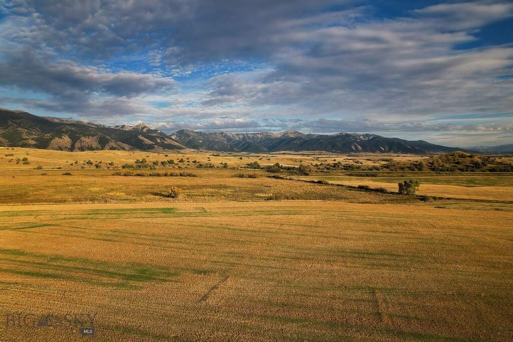 Land/Vacant Land's Image 13