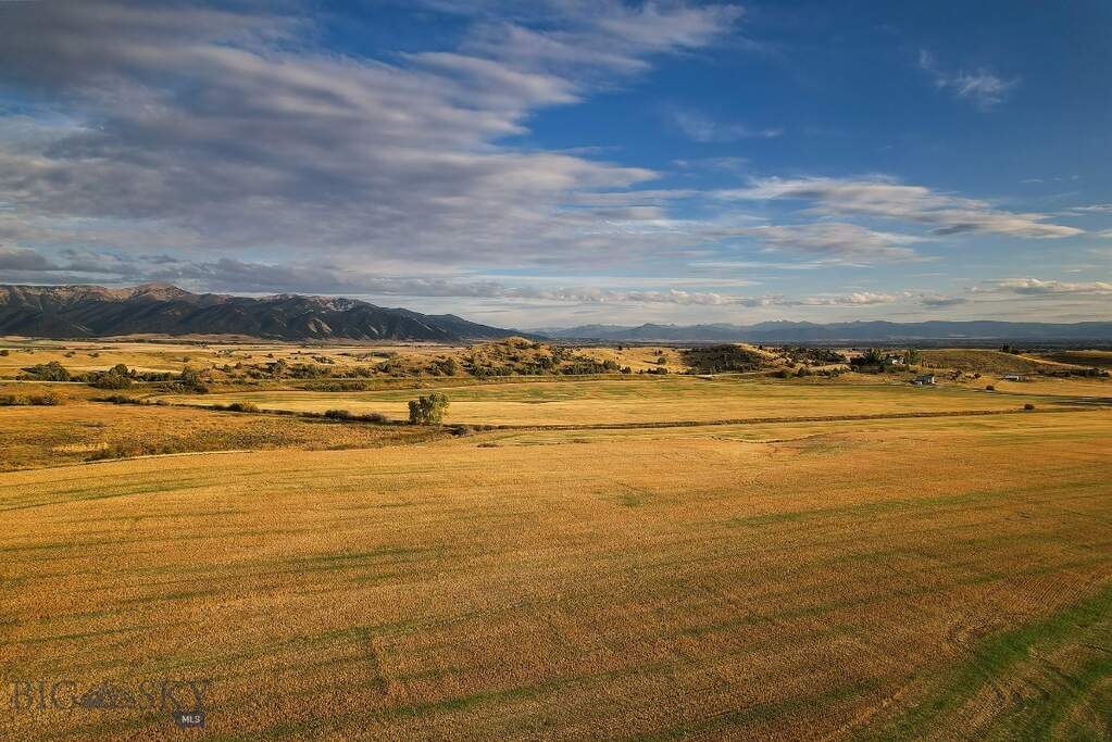 Land/Vacant Land's Image 14
