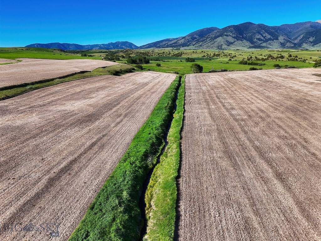 Land/Vacant Land's Image 5