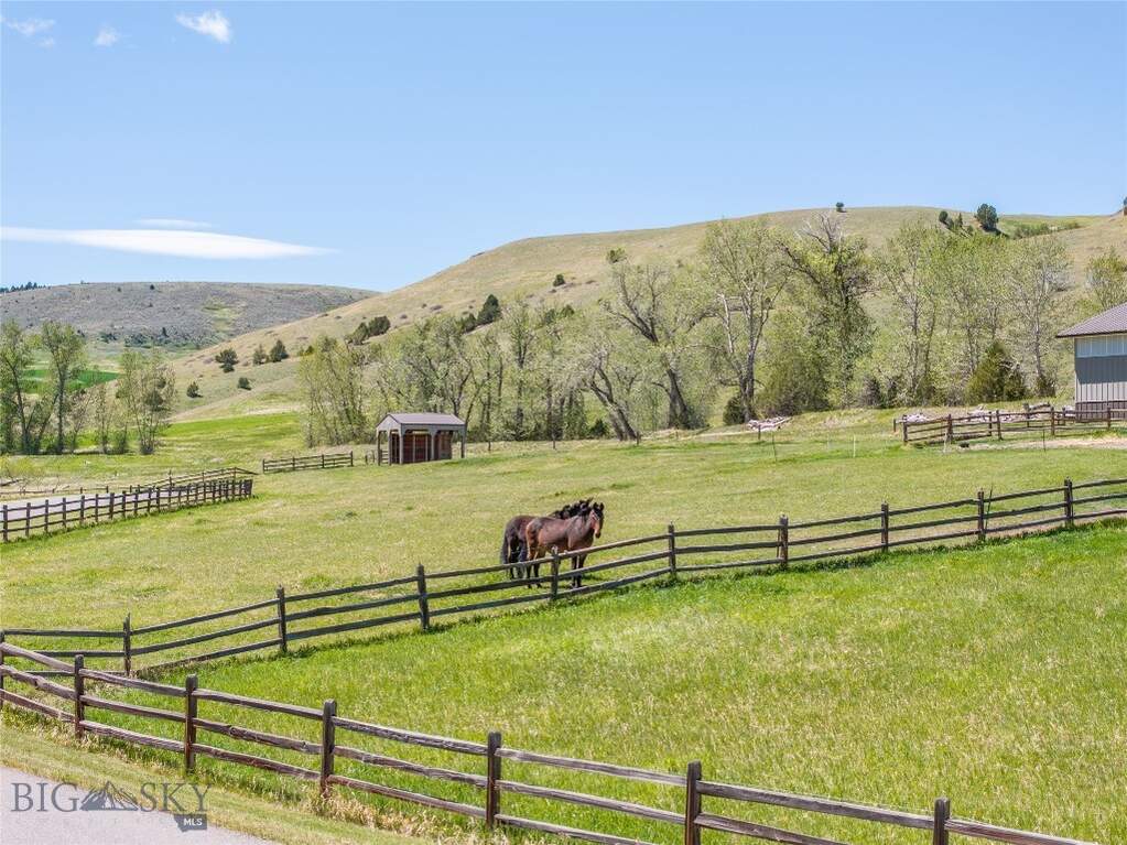 Horse paddock with loafing shed, riding arena and