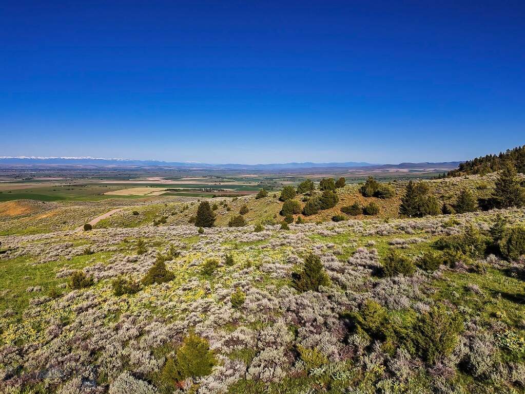 Land/Vacant Land's Image 38